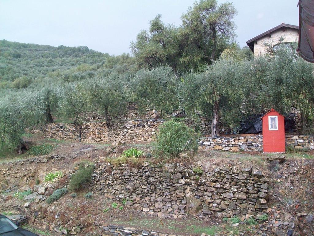 Piccolo Rifugio Nel Verde Chiusavecchia Habitación foto