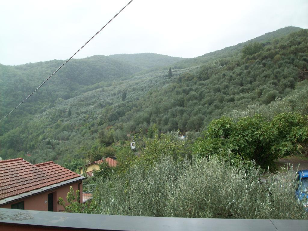 Piccolo Rifugio Nel Verde Chiusavecchia Habitación foto