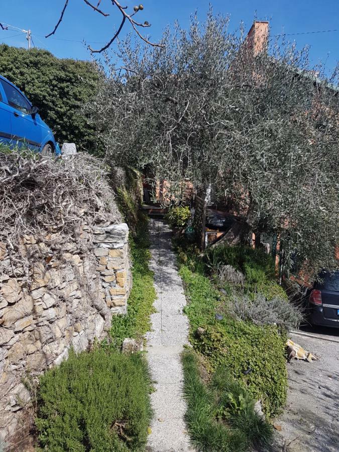 Piccolo Rifugio Nel Verde Chiusavecchia Exterior foto
